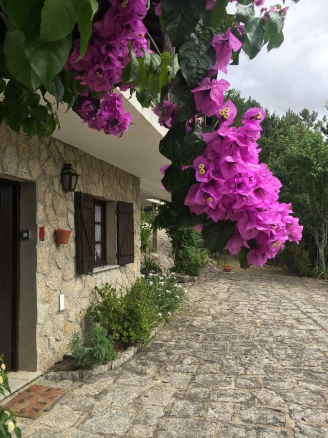 Villa De Fujacos วาเลนซา ภายนอก รูปภาพ